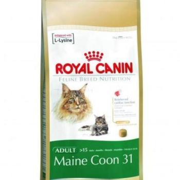 Royal Canin FBN Maine Coon 31 10 kg kép