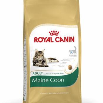 Royal Canin FBN Maine Coon 31 4 kg kép