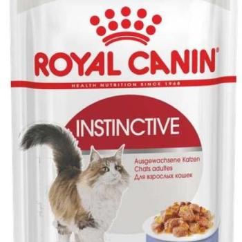 Royal Canin FHN Instinctive in jelly 12x85 g kép