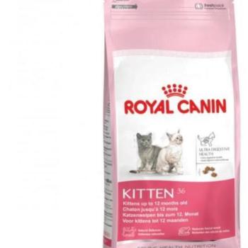 Royal Canin FHN Kitten 36 10 kg kép