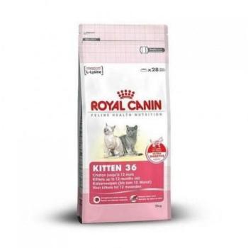 Royal Canin FHN Kitten 36 2 kg kép