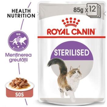 Royal Canin FHN Sterilised gravy 85 g kép