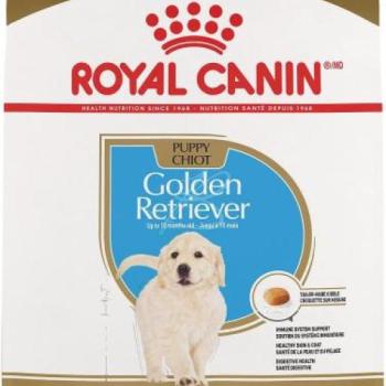 Royal Canin Golden Retriever Puppy 3 kg kép