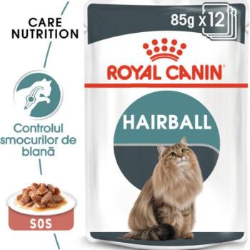 Royal Canin Hairball Care gravy 12x85 g kép