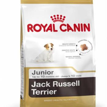 Royal Canin Jack Russell Terrier Junior 0,5 kg kép