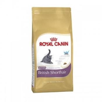 Royal Canin Kitten British Shorthair 10 kg kép