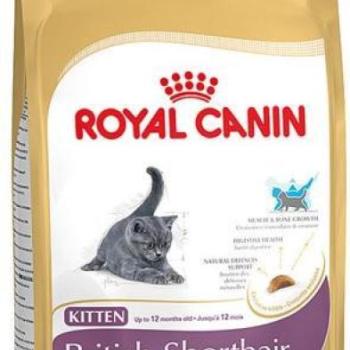 Royal Canin Kitten British Shorthair 2 kg kép