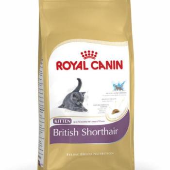 Royal Canin Kitten British Shorthair 400 g kép