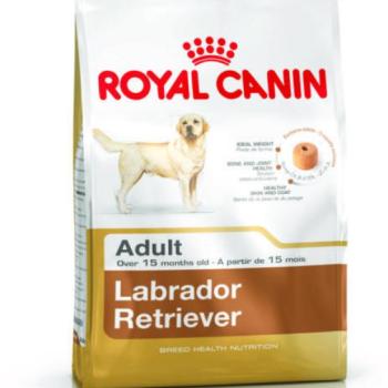 Royal Canin Labrador Retriever Adult 12 kg kép