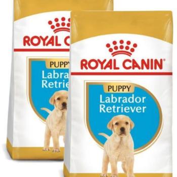 Royal Canin Labrador Retriever Puppy 2x12 kg kép