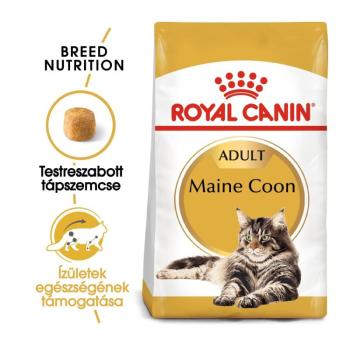 Royal Canin Maine Coon Adult - Maine Coon felnőtt macska száraz táp 10 kg kép