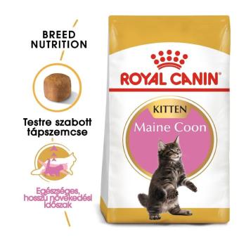 Royal Canin Maine Coon Kitten - Maine Coon kölyök macska száraz táp 400 g kép