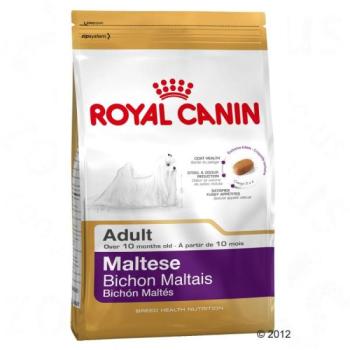 Royal Canin Maltese Adult 1, 5 kg kép