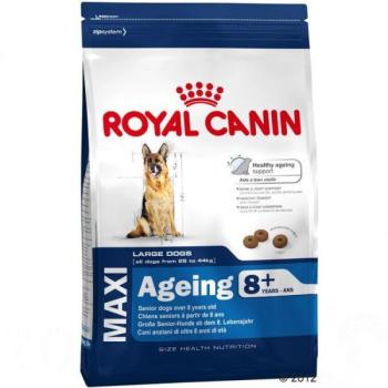 Royal Canin Maxi Ageing 8+ 15 kg kép