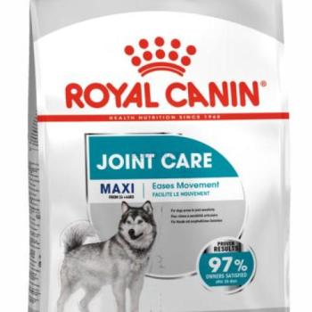 Royal Canin Maxi Joint Care 10 kg kép