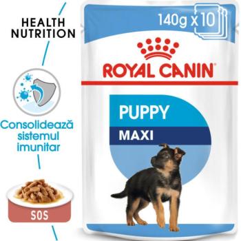 Royal Canin Maxi Puppy 10x140 g kép