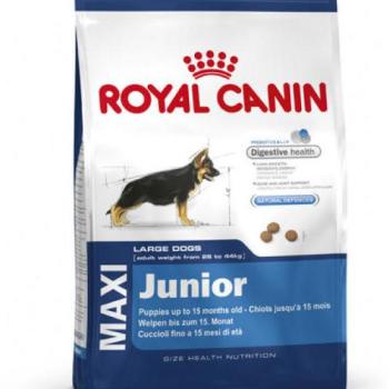 Royal Canin Maxi Puppy/Junior 4 kg kép