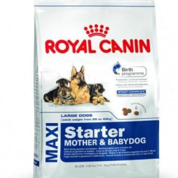 Royal Canin Maxi Starter Mother & Babydog 1 kg kép