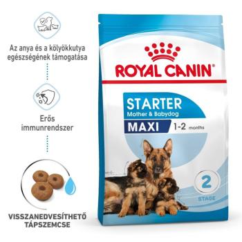 Royal Canin Maxi Starter - nagy testű kölyök és vemhes kutya száraz táp 15 kg kép