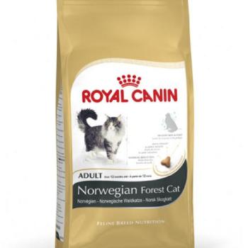 Royal Canin Norwegian Forest Cat 2 kg kép