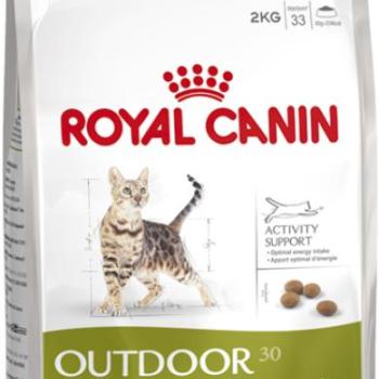 Royal Canin Outdoor - szabadba gyakran kijáró, aktív felnőtt macska száraz táp 10 kg kép