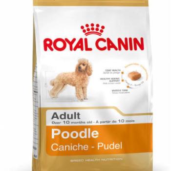 Royal Canin Poodle Adult 1,5 kg kép