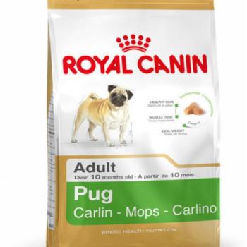 Royal Canin Pug Adult 1,5 kg kép