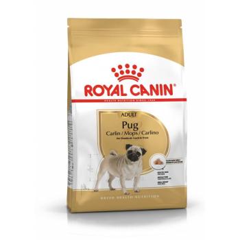 Royal Canin Pug Adult - Mopsz felnőtt kutya száraz táp 0,5 kg kép