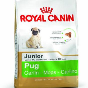 Royal Canin Pug Junior 500 g kép