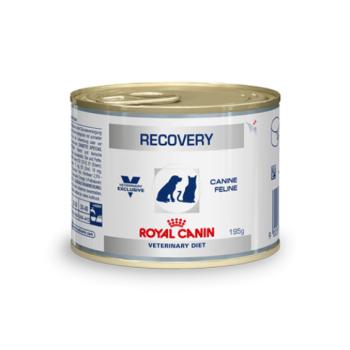 Royal Canin Recovery - Konzerv 195 g kép