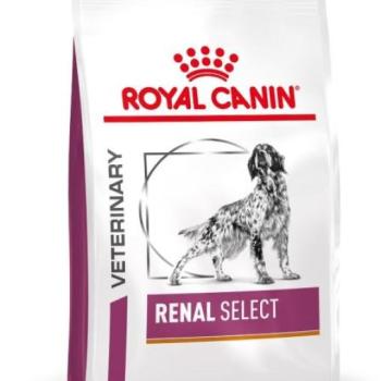 Royal Canin Renal Select Canine 2 kg kép