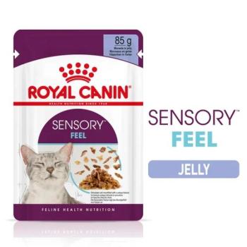 Royal Canin Sensory Feel - zselés nedves táp felnőtt macskák részére 12 x 85 g kép