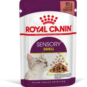 Royal Canin Sensory Smell gravy 85 g kép