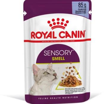 Royal Canin Sensory Smell jelly 12x85 g kép