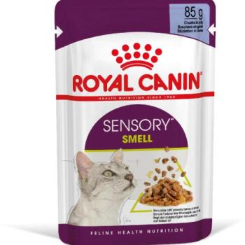 Royal Canin Sensory Smell jelly 85 g kép