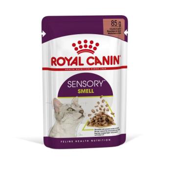 Royal Canin Sensory Smell - szószos nedves táp felnőtt macskák részére 12 x 85 g kép