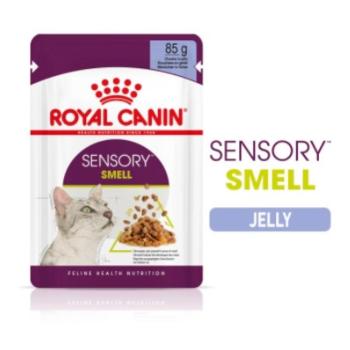 Royal Canin Sensory Smell - zselés nedves táp felnőtt macskák részére 12 x 85 g kép