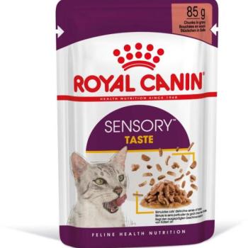 Royal Canin Sensory Taste gravy 12x85 g kép