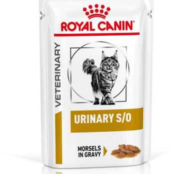 Royal Canin Urinary S/O gravy 12x85 g kép