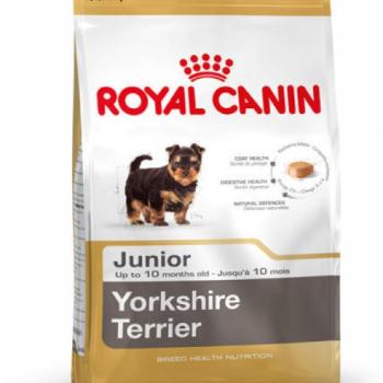 Royal Canin Yorkshire Terrier Junior 1,5 kg kép