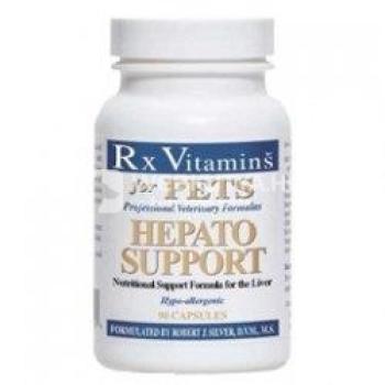 Rx Vitamins Hepato Support tabletta 90 db kép