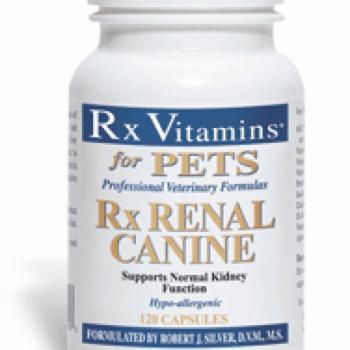 Rx Vitamins Renal Canine tabletta 120 db kép