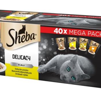 Sheba Delicacy alutasakos eledel - szárnyas válogatás 40 x 85 g kép