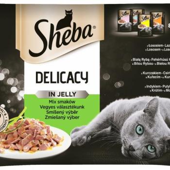 Sheba Delicacy alutasakos eledel - vegyes válogatás 4 x 85 g kép