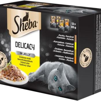 Sheba Delicacy in jelly poultry 12x85 g kép