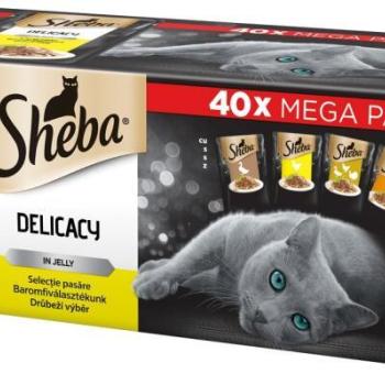 Sheba Delicacy in jelly poultry 40x85 g kép