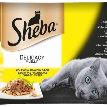 Sheba Delicacy in jelly poultry 4x85 g kép