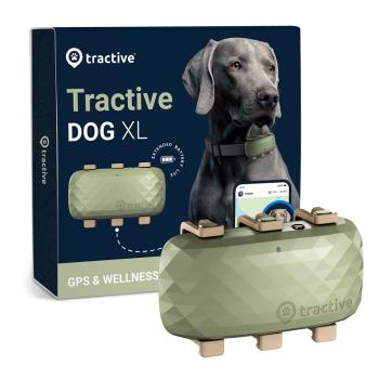 Tractive Dog XL - kutya GPS nyomkövető és aktivitásmérő Zöld kép