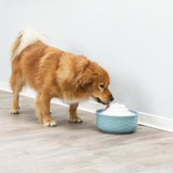 TRIXIE 24466 1,5 l kép