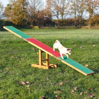 Trixie Agility - hinta 300 × 54 × 34 cm (TRX3213) kép